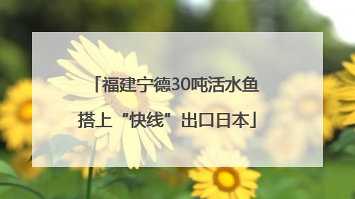 福建宁德30吨活水鱼搭上“快线”出口日本