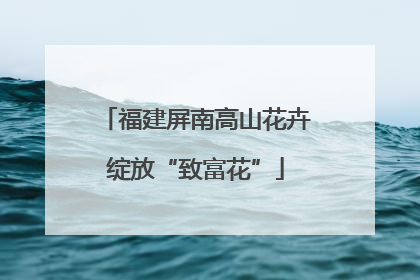 福建屏南高山花卉绽放“致富花”