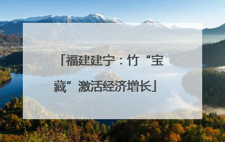 福建建宁：竹“宝藏”激活经济增长