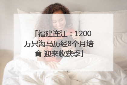 福建连江：1200万只海马历经8个月培育 迎来收获季
