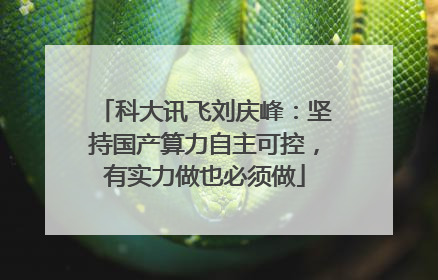 科大讯飞刘庆峰：坚持国产算力自主可控，有实力做也必须做