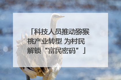 科技人员推动猕猴桃产业转型 为村民解锁“富民密码”