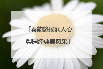 秦韵悠扬润人心 梨园经典展风采