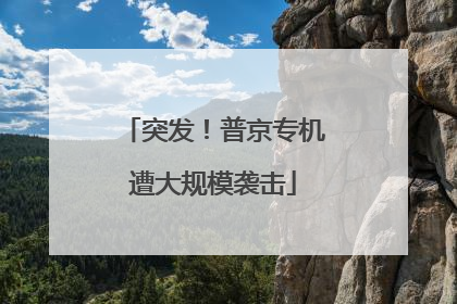 突发！普京专机遭大规模袭击