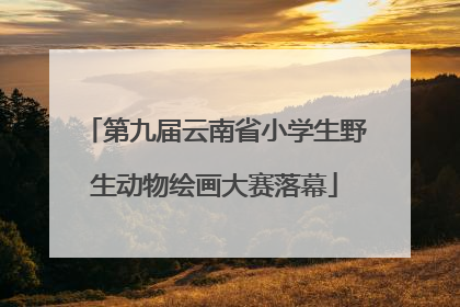 第九届云南省小学生野生动物绘画大赛落幕