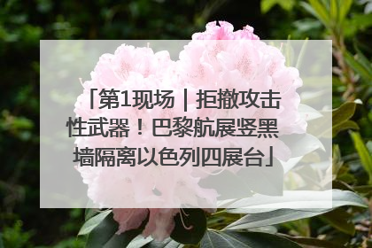 第1现场｜拒撤攻击性武器！巴黎航展竖黑墙隔离以色列四展台