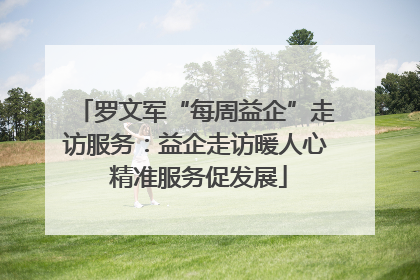 罗文军“每周益企”走访服务：益企走访暖人心 精准服务促发展
