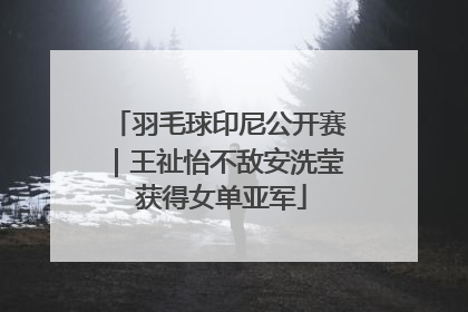 羽毛球印尼公开赛｜王祉怡不敌安洗莹 获得女单亚军