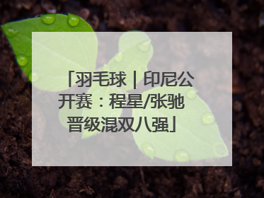 羽毛球｜印尼公开赛：程星/张驰晋级混双八强