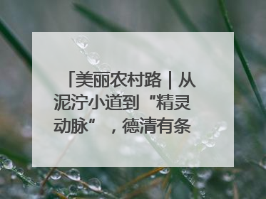 美丽农村路｜从泥泞小道到“精灵动脉”，德清有条“虾路”火了