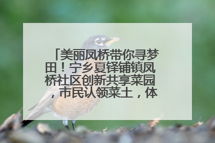 美丽凤桥带你寻梦田！宁乡夏铎铺镇凤桥社区创新共享菜园，市民认领菜土，体验耕种收获乐趣