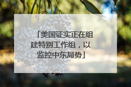 美国证实正在组建特别工作组，以监控中东局势