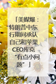 美媒爆：特朗普中东行期间承认自己和苹果CEO库克“有点小问题”