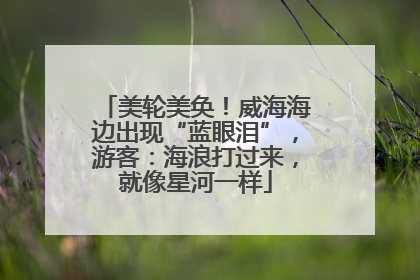 美轮美奂！威海海边出现“蓝眼泪”，游客：海浪打过来，就像星河一样