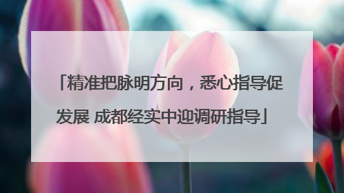 精准把脉明方向，悉心指导促发展 成都经实中迎调研指导
