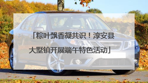 粽叶飘香凝共识！淳安县大墅镇开展端午特色活动