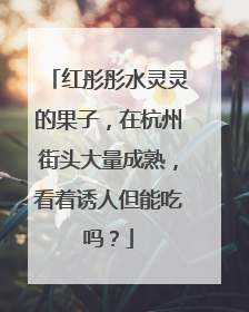 红彤彤水灵灵的果子，在杭州街头大量成熟，看着诱人但能吃吗？