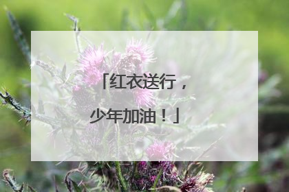 红衣送行，少年加油！