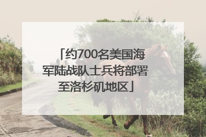 约700名美国海军陆战队士兵将部署至洛杉矶地区