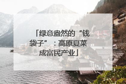 绿意盎然的“钱袋子”：高原夏菜成富民产业