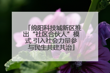 绵阳科技城新区推出“社区合伙人”模式 引入社会力量参与民生共建共治