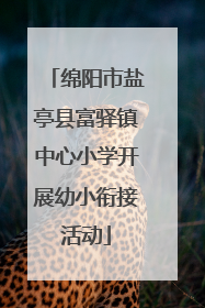 绵阳市盐亭县富驿镇中心小学开展幼小衔接活动