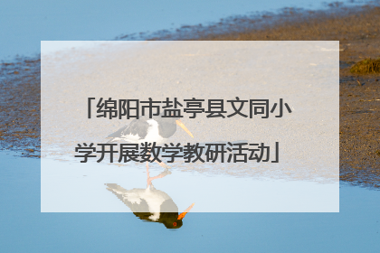 绵阳市盐亭县文同小学开展数学教研活动