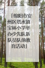 绵阳市安州区塔水镇宝林小学举办少先队新队员队前教育活动