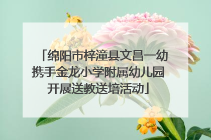绵阳市梓潼县文昌一幼携手金龙小学附属幼儿园开展送教送培活动