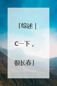 综述｜C一下，很长春