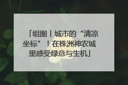 组图丨城市的“清凉坐标”！在株洲神农城里感受绿意与生机