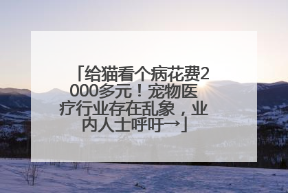 给猫看个病花费2000多元！宠物医疗行业存在乱象，业内人士呼吁→
