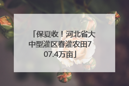 保夏收！河北省大中型灌区春灌农田707.4万亩