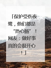 保护受伤夜鹭，他们都是“热心肠”！网友：做好事真的会很开心！