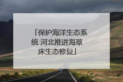 保护海洋生态系统 河北推进海草床生态修复