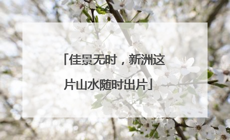 佳景无时，新洲这片山水随时出片