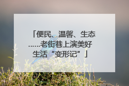 便民、温馨、生态……老街巷上演美好生活“变形记”