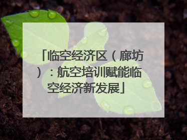 临空经济区（廊坊）：航空培训赋能临空经济新发展