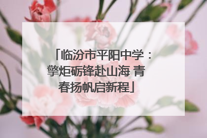 临汾市平阳中学：擎炬砺锋赴山海 青春扬帆启新程