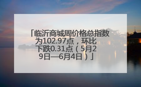临沂商城周价格总指数为102.97点，环比下跌0.31点（5月29日—6月4日）