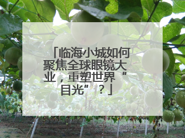 临海小城如何聚焦全球眼镜大业，重塑世界“目光”？