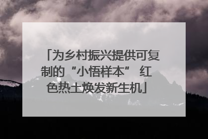 为乡村振兴提供可复制的“小悟样本” 红色热土焕发新生机