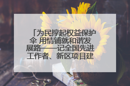 为民撑起权益保护伞 用情铺就和谐发展路——记全国先进工作者、新区项目建设中心干部卢小勇