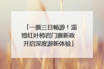 一票三日畅游！淄博红叶柿岩门票新政开启深度游新体验