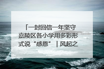一封回信一年坚守 嘉陵区各小学用多彩形式说“感恩”｜风起之江 扶摇直上