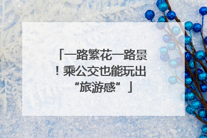 一路繁花一路景！乘公交也能玩出“旅游感”