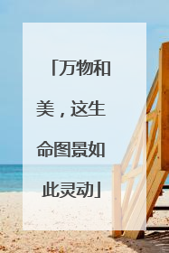 万物和美，这生命图景如此灵动