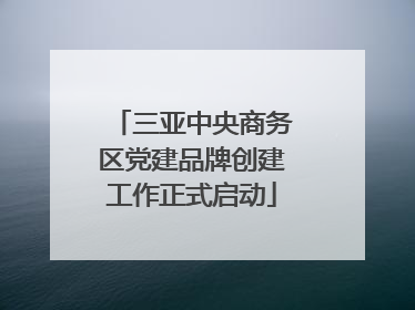 三亚中央商务区党建品牌创建工作正式启动