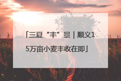 三夏“丰”景｜顺义15万亩小麦丰收在即