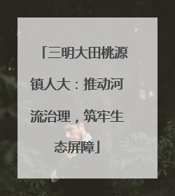 三明大田桃源镇人大：推动河流治理，筑牢生态屏障
